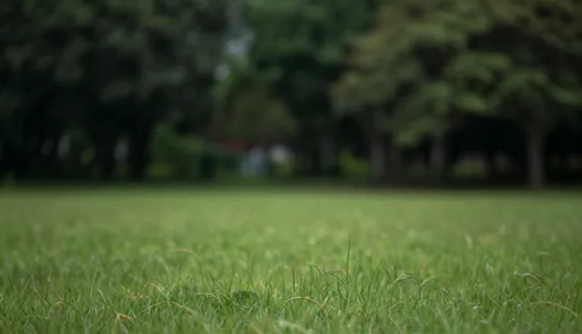 个人用户如何选择合适的技术支持？